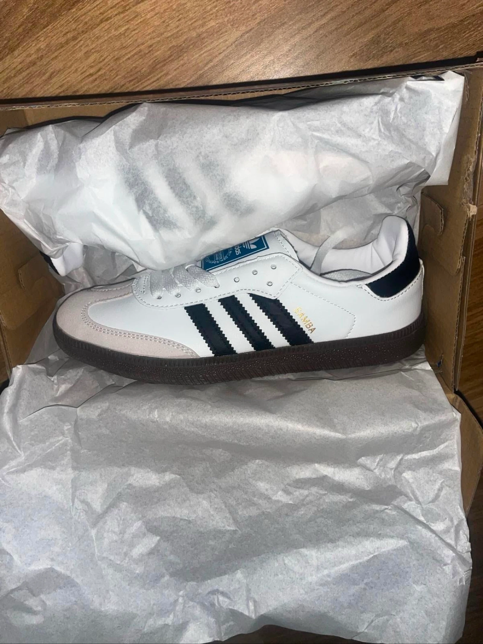 zapatos samba
